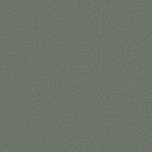 Shaw Floors Caress By Shaw Cashmere Classic III Jade 00323_CCS70