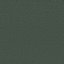 Shaw Floors Caress By Shaw Quiet Comfort Classic III Emerald 00324_CCB98