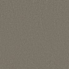Shaw Floors Caress By Shaw CASHMERE CLASSIC III Barnboard 00525_CCS70