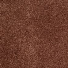 Shaw Floors Caress By Shaw Quiet Comfort Classic III Rich Henna 00620_CCB98