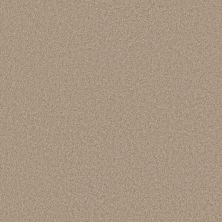 Shaw Floors Caress By Shaw Cashmere Classic III White Pine 00720_CCS70