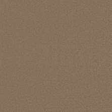 Shaw Floors Caress By Shaw CASHMERE CLASSIC III Pebble Path 00722_CCS70