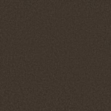 Shaw Floors Caress By Shaw Quiet Comfort Classic III Chestnut 00726_CCB98