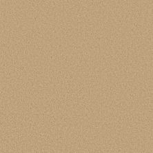 Shaw Floors Ultratouch Anso Exalted Beauty III Blonde Cashmere 00106_748Z5