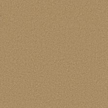 Shaw Floors Ultratouch Anso Exalted Beauty III Sun Shower 00200_748Z5