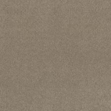 Shaw Floors Ultratouch Anso Exalted Beauty III Smooth Slate 00704_748Z5