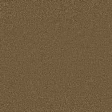 Shaw Floors Ultratouch Anso Exalted Beauty III Cabin 00726_748Z5