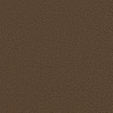 Shaw Floors Ultratouch Anso Exalted Beauty III Apple Butter 00728_748Z5