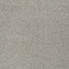 Shaw Floors Shaw Flooring Gallery Inspired By II Textured Canvas 00150_5560G