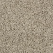 Shaw Floors Shaw Flooring Gallery Inspired By II Smooth Slate 00704_5560G