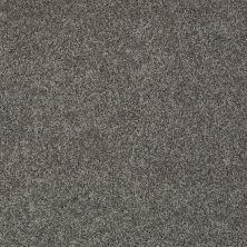 Shaw Floors Shaw Flooring Gallery Inspired By II Graphite 00754_5560G