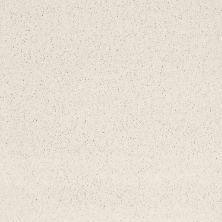 Shaw Floors Caress By Shaw CASHMERE IV Icelandic 00100_CCS04