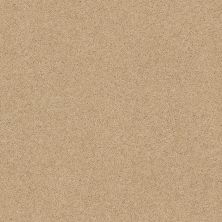 Shaw Floors Caress By Shaw Cashmere Classic Iv Manilla 00221_CCS71