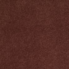 Shaw Floors Caress By Shaw CASHMERE IV Guanaco 00603_CCS04