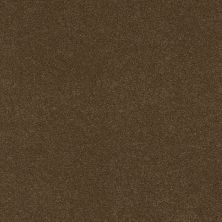 Shaw Floors Caress By Shaw Quiet Comfort Classic Iv Bison 00707_CCB99