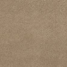Shaw Floors Caress By Shaw Quiet Comfort Classic Iv Pecan Bark 00721_CCB99