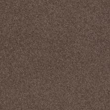 Shaw Floors Caress By Shaw Quiet Comfort Classic Iv Spring – Wood 00725_CCB99