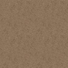 Shaw Floors Value Collections Expect More (s) Net Vintage Tan 00714_E0710