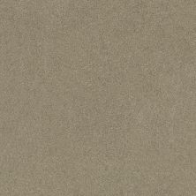 Shaw Floors ORIGINS II Gray Flannel 00511_E9301