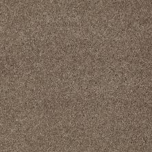 Anderson Tuftex Shaw Design Center Turn It Up I Simply Taupe 00572_814SD