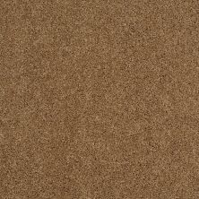 Shaw Floors Shaw Flooring Gallery EMBARK Leather Bound 00702_5506G