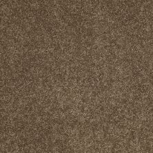 Anderson Tuftex Value Collections Ts277 Vicuna 00736_TS277