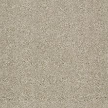 Shaw Floors Shaw Flooring Gallery Canvas Frost 00104_5518G