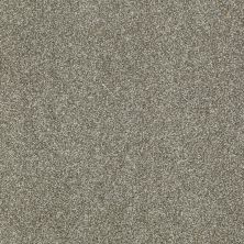 Shaw Floors Shaw Design Center Sun Drenched Silver Sage 00310_5C740