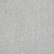 Shaw Floors Shaw Flooring Gallery CANVAS Drizzle 00414_5518G