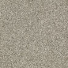 Shaw Floors PICTURESQUE Gray Flannel 00511_E0539