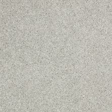 Shaw Floors PICTURESQUE Sea Salt 00512_E0539