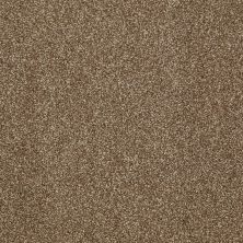 Shaw Floors Home Foundations Gold Peachtree I (t) Cork Board 00711_HGN77