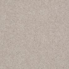 Shaw Floors Shaw Flooring Gallery Challenge Accepted I 12′ Almond Bark 00106_5522G