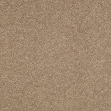 Shaw Floors Shaw Flooring Gallery Challenge Accepted I 12′ Honeycomb 00200_5522G