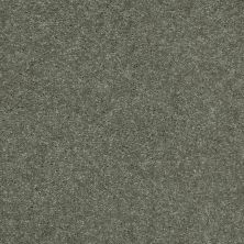 Shaw Floors Shaw Flooring Gallery Challenge Accepted I 12′ Spring Leaf 00300_5522G