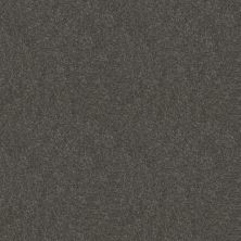 Shaw Floors Shaw Flooring Gallery Challenge Accepted I 12′ Charcoal 00504_5522G