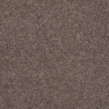 Shaw Floors Carpet Land Blanche 12 Briar Patch 00703_755X5