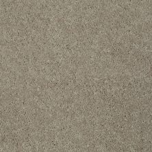 Shaw Floors Value Collections Main Stay 12′ Natural Beige 00700_E9906