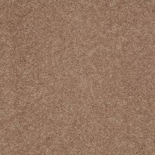 Shaw Floors Value Collections Main Stay 12′ Pebble Creek 00701_E9906
