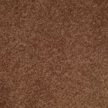 Shaw Floors Value Collections Main Stay 15′ Pottery 00600_E9921