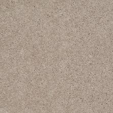 Shaw Floors Value Collections Main Stay 15′ Natural Beige 00700_E9921