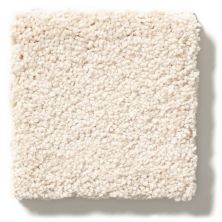Anderson Tuftex Builder Lofty Paws I Barely Beige 00111_ZZB92