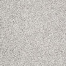 Shaw Floors Eco Choice Texture Tonal Select Sequoia Park Texture 00191_755Q5