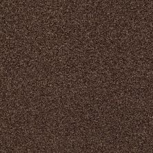 Shaw Floors Eco Choice SIMPLE COMFORTS TONAL I Chocolate Treat (T) 707T_7B5S4