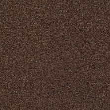 Shaw Floors Eco Choice SIMPLE COMFORTS TONAL II Chocolate Treat (T) 707T_7B5S5