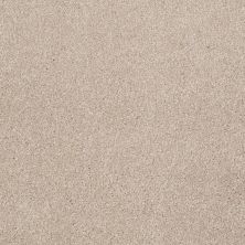 Shaw Floors Value Collections Xvn04 French Canvas 00102_E1234