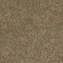 Shaw Floors Value Collections Xvn04 Acorn 00700_E1234