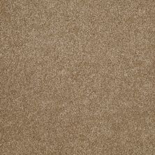 Shaw Floors Value Collections Xvn04 Bridgewater Tan 00709_E1234