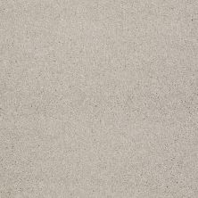 Shaw Floors Shaw Flooring Gallery Perfectly Timed Soft Chamois 00103_5572G