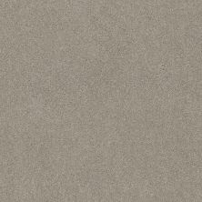 Shaw Floors SFA LOOK FORWARD Frosted Ice 00510_EA605